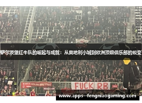 萨尔茨堡红牛队的崛起与成就：从奥地利小城到欧洲顶级俱乐部的蜕变