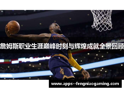 詹姆斯职业生涯巅峰时刻与辉煌成就全景回顾