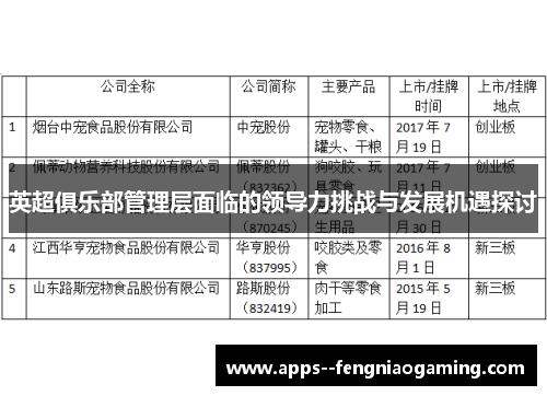 英超俱乐部管理层面临的领导力挑战与发展机遇探讨