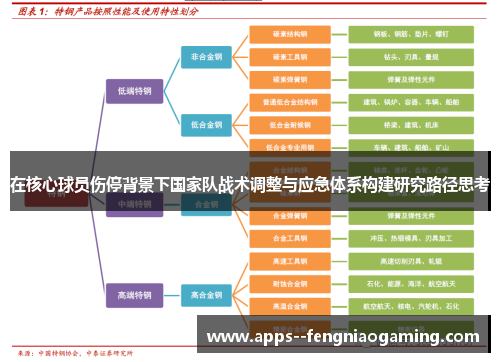 在核心球员伤停背景下国家队战术调整与应急体系构建研究路径思考