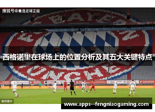 西格诺里在球场上的位置分析及其五大关键特点 西格诺里在球场上的位置分析及其五大关键特点
