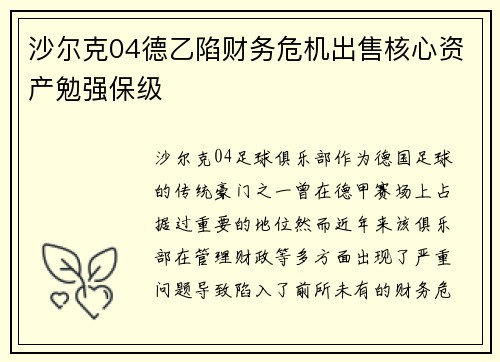 沙尔克04德乙陷财务危机出售核心资产勉强保级