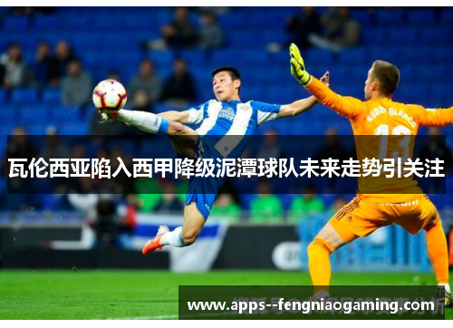 瓦伦西亚陷入西甲降级泥潭球队未来走势引关注