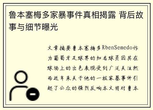 鲁本塞梅多家暴事件真相揭露 背后故事与细节曝光