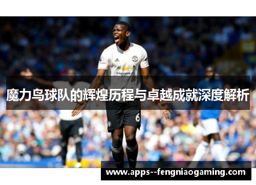 魔力鸟球队的辉煌历程与卓越成就深度解析