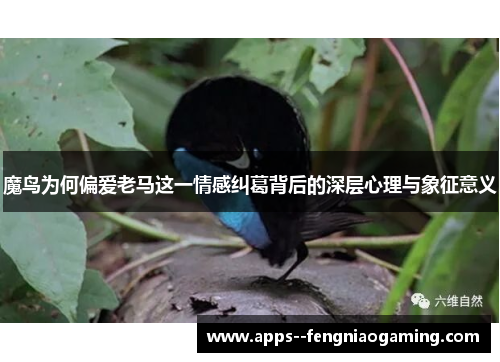 魔鸟为何偏爱老马这一情感纠葛背后的深层心理与象征意义