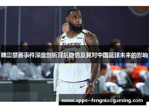 魏震禁赛事件深度剖析背后隐情及其对中国篮球未来的影响