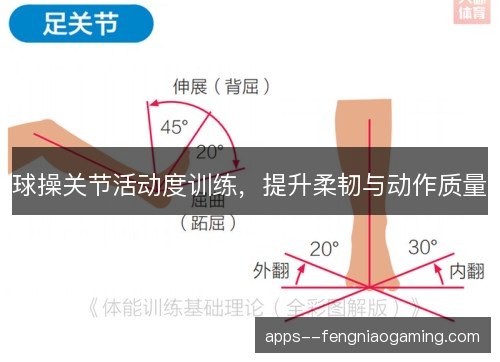 球操关节活动度训练，提升柔韧与动作质量